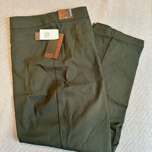 Briggs Comfort waistband, Evening Pine Pants, size 24WS, NWT